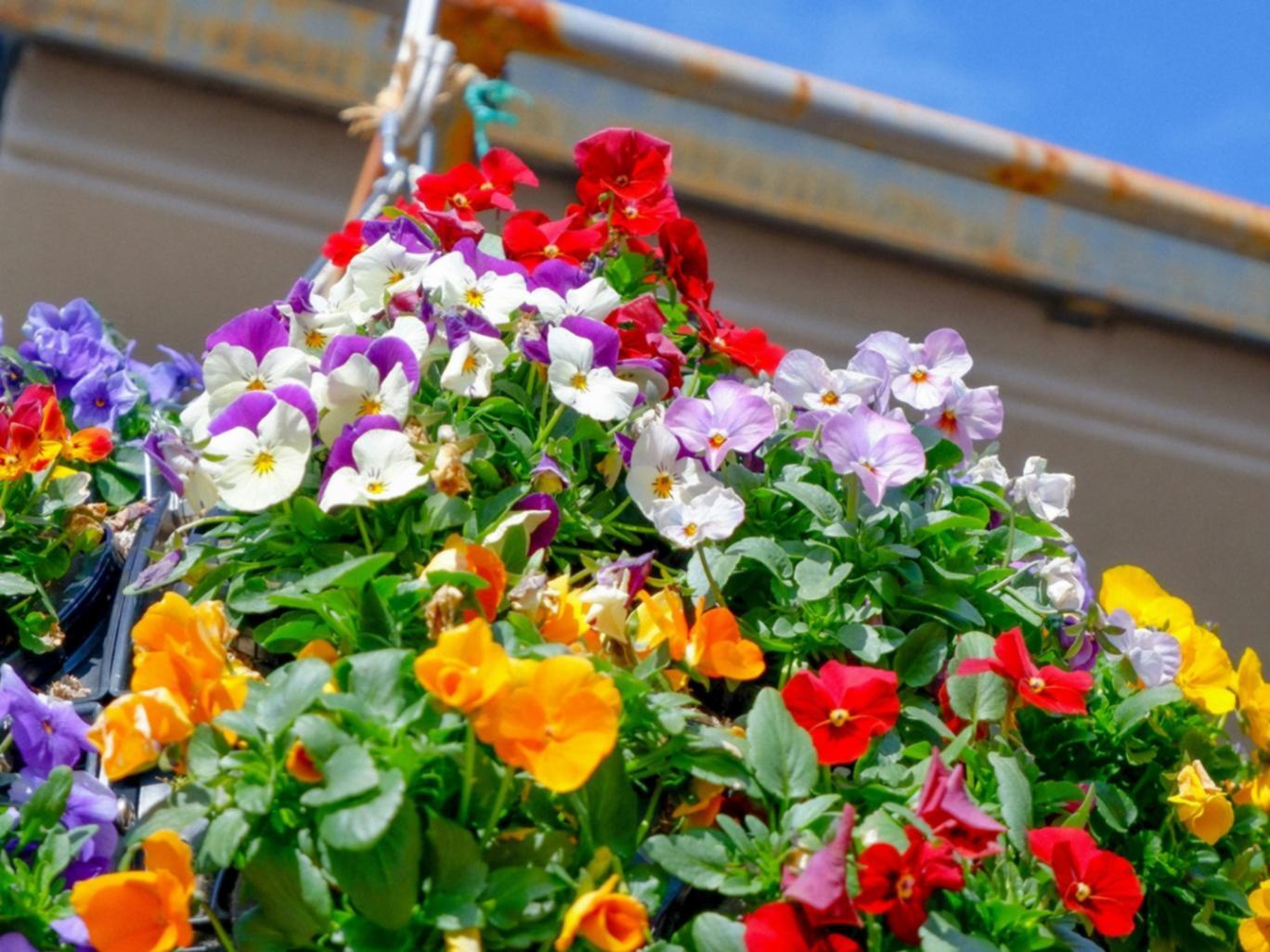 Résultat final d'une composition florale créée lors d'un atelier